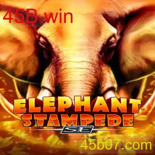 ElephantStampedeSE